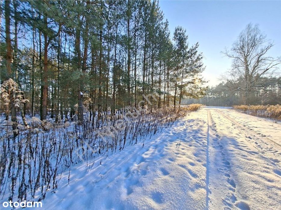 Targówka - spokojne miejsce blisko Pkp Anielina!