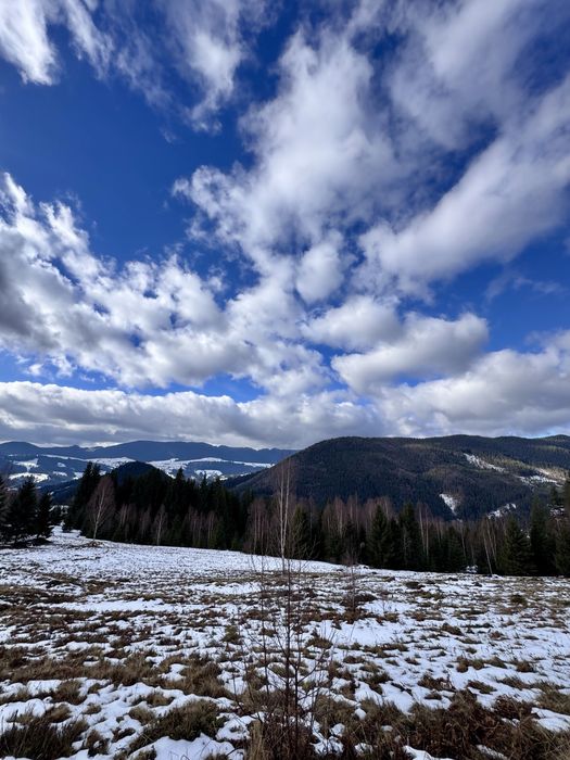 Земля 3,64 га у Карпатах, вид на Чорногірський хребет, під будівництво
