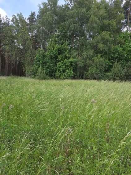 Sprzedam działki budowlane w Dąbrowie Chełmińskiej - Gzin - Widok 4