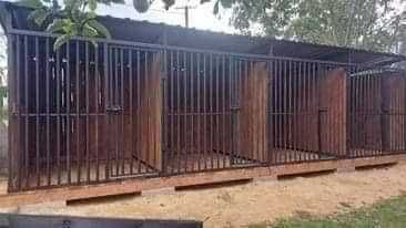 Sprzedam kojce dla piesków możliwość transportu