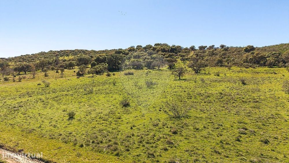 Terreno  para venda