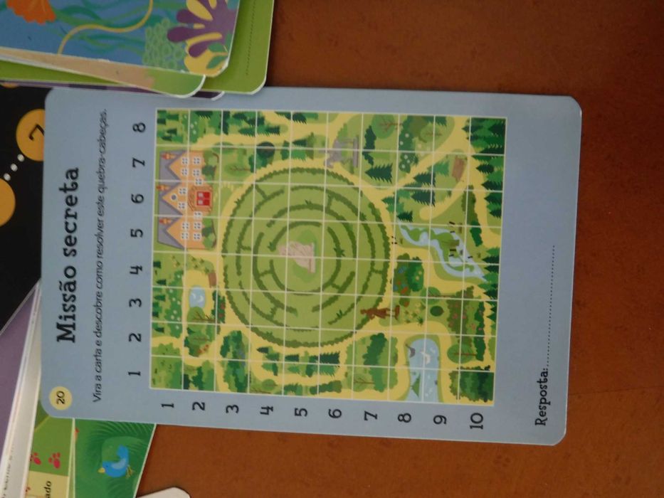 Cartas de jogos, puzzles e quebra cabeças variados - 48 desafios
