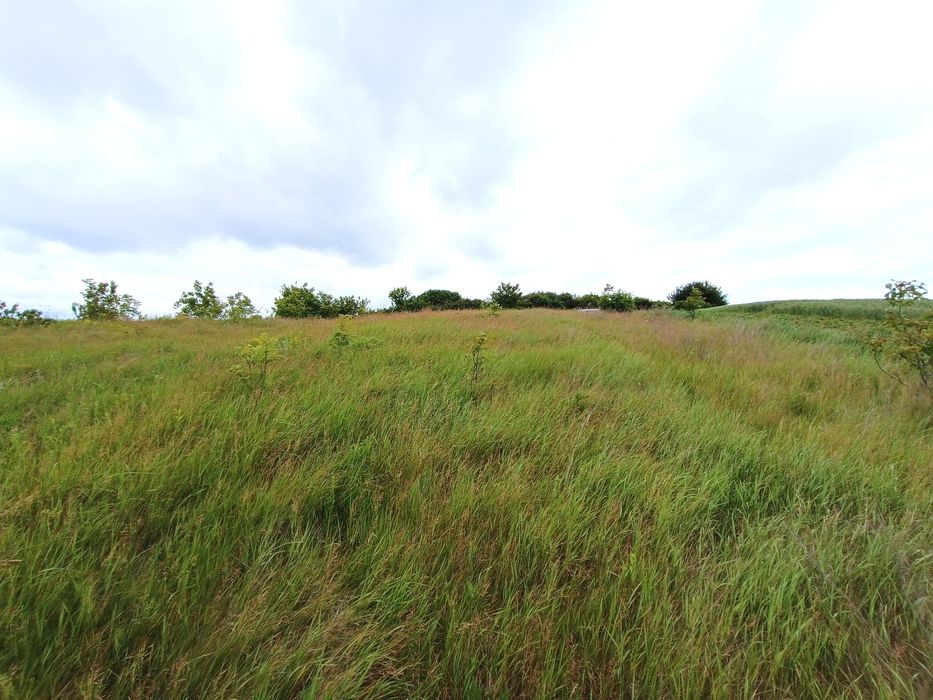 Продається земельна ділянка під забудову в селі Обарів
Всього 2 км від