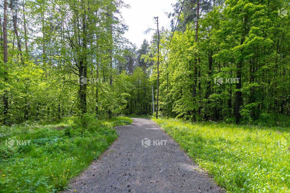 14соток Лісопарк (Лесопарк, рядом Парк Хаус, Форест, Роял Клаб) 118282