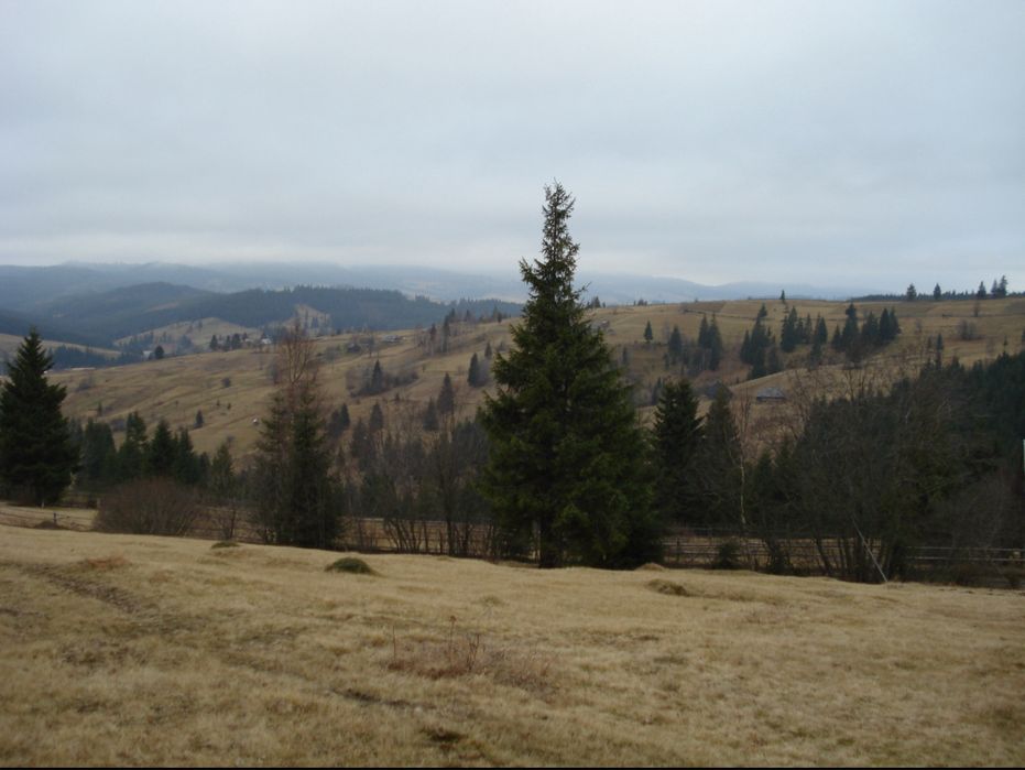 Гори,Карпати,Земля під забудову. с. Вишків!!!