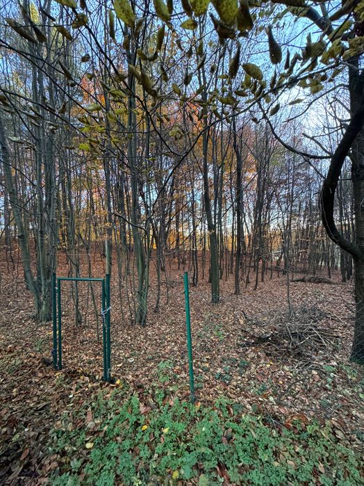 Działka 4625 m² + budynek ok. 100 m² | Żelazko | 200 tys.”