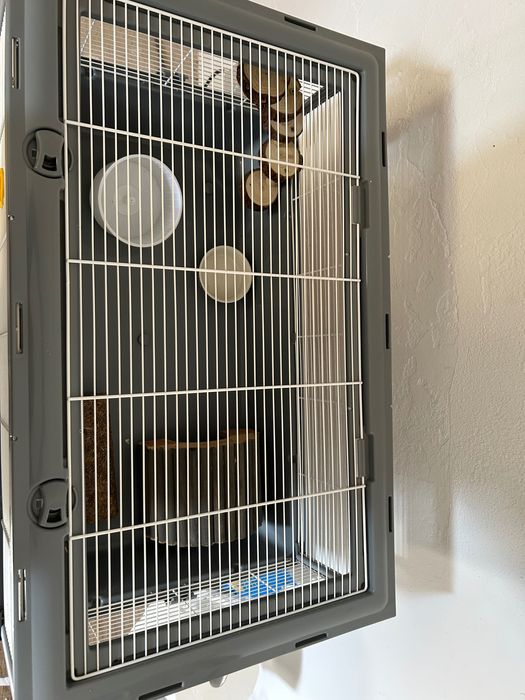 Gaiola para Hamster mais acessórios