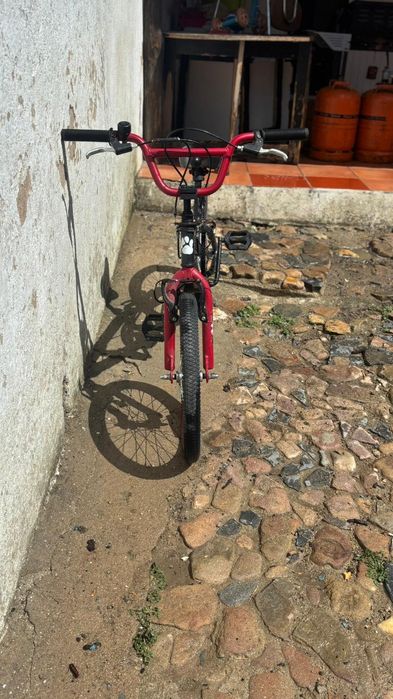 Bmx freestyle  dos 9 anos até 11 ou 12 anos