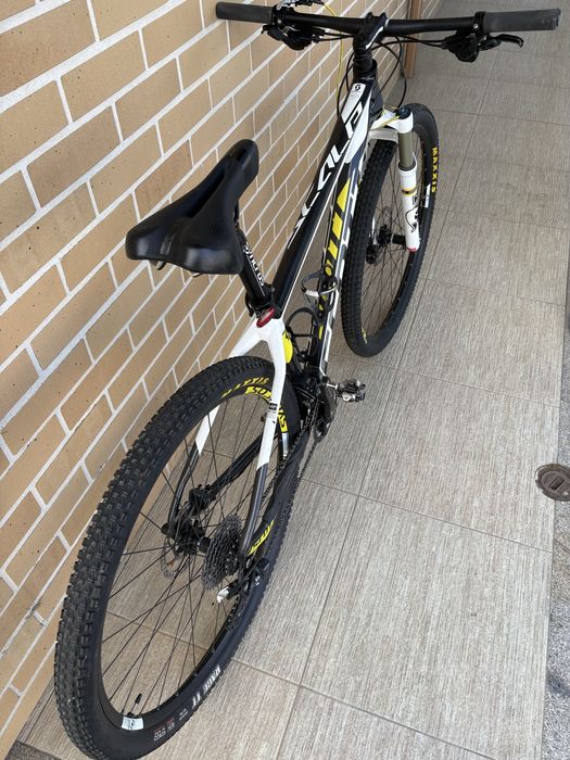Scott scale 29 tam. M