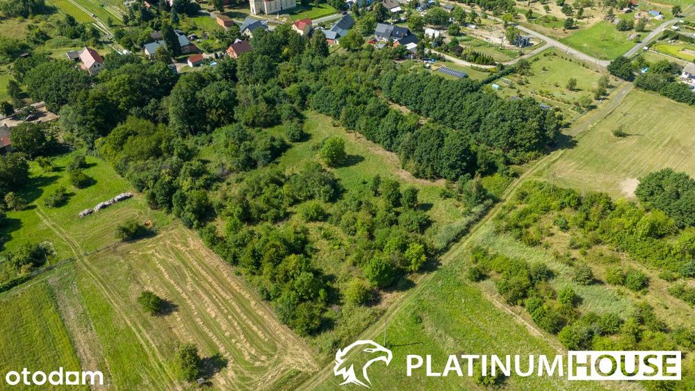 działka 7 900 m² z Decyzją O Warunkach Zabudowy - Widok 4