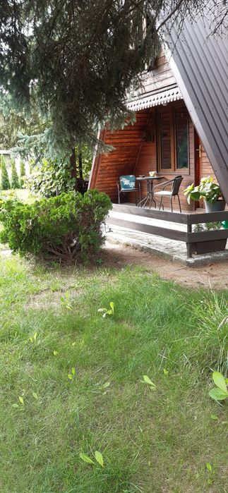 Sprzedam działkę ROD Relax Szałe koło Kalisza