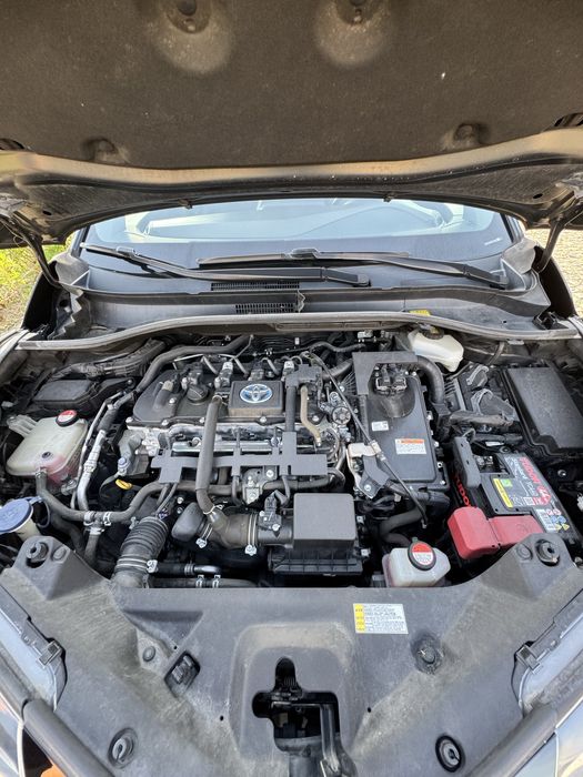 Toyota CH-R 1.8 Hybrido Exclusive P. Luxury