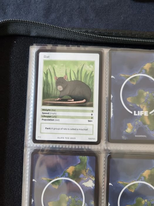 Life TCG cartas 26 a 100 não holo (todas as incomuns e conuns)