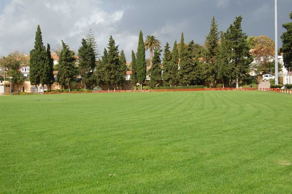 Jardinagem Manutençao