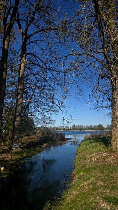 UNIKAT:  Działka nad jeziorem z bezposrednią linią brzegową  - wydana decyzja WZ _ Obra Wolsztyn