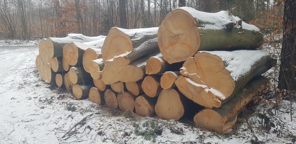 Drewno Opałowe kominkowe