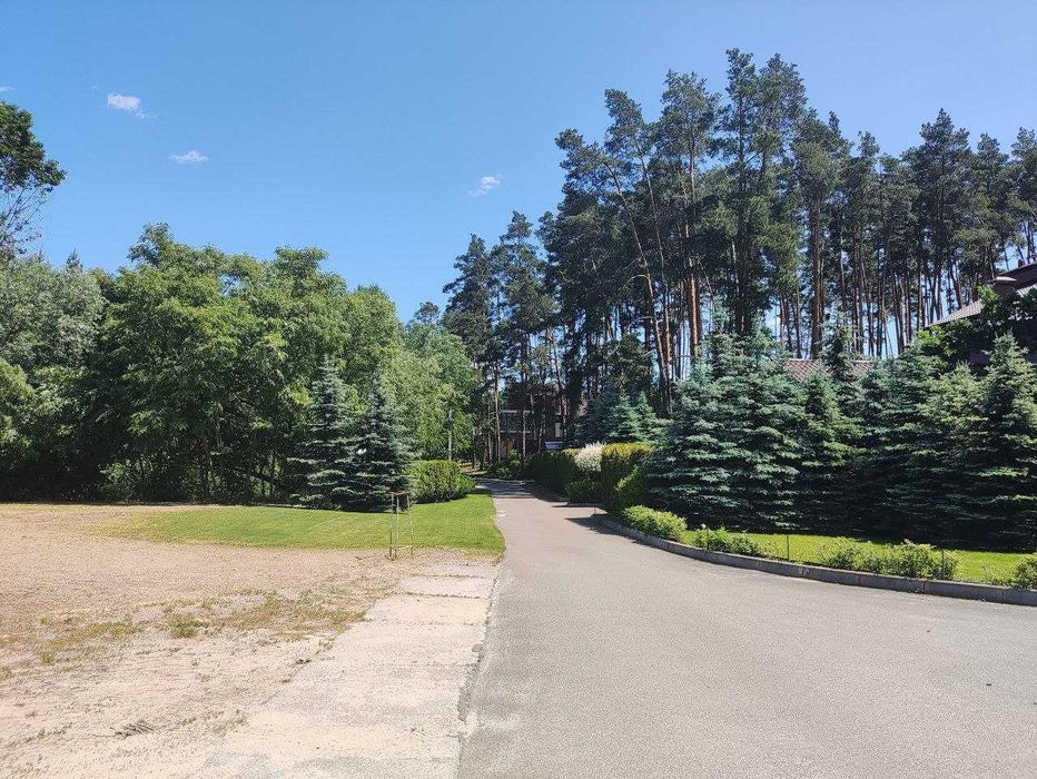 Ділянка 25 соток під Києвом | с. Дмитрівка  (Прокурорський городок)