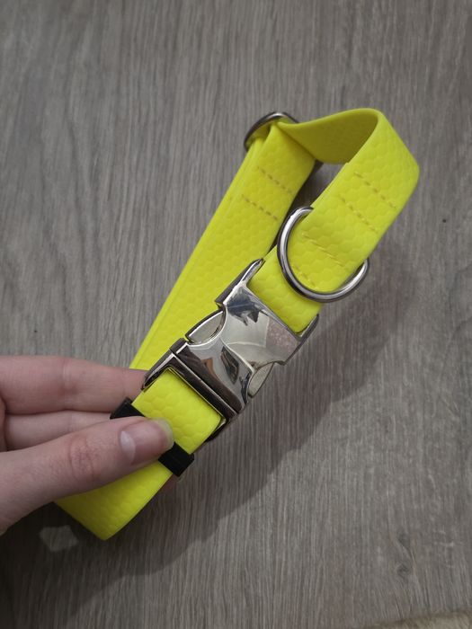 нашийник, повідок для собак