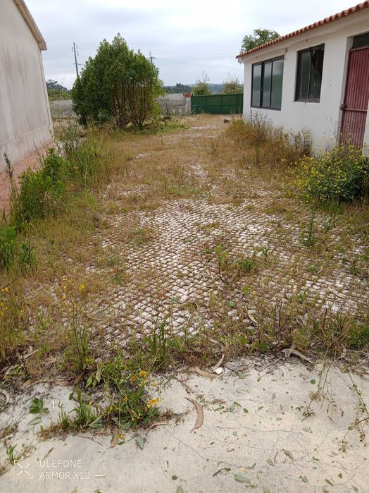 Manutenção de jardins Limpeza de terrenos