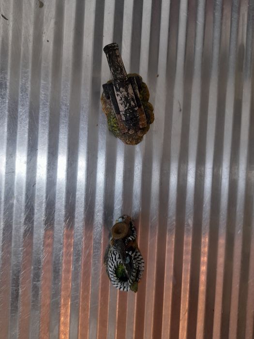 Decoração de aquário