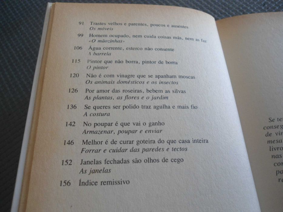 A Agulha no Palheiro por Mary Ellen