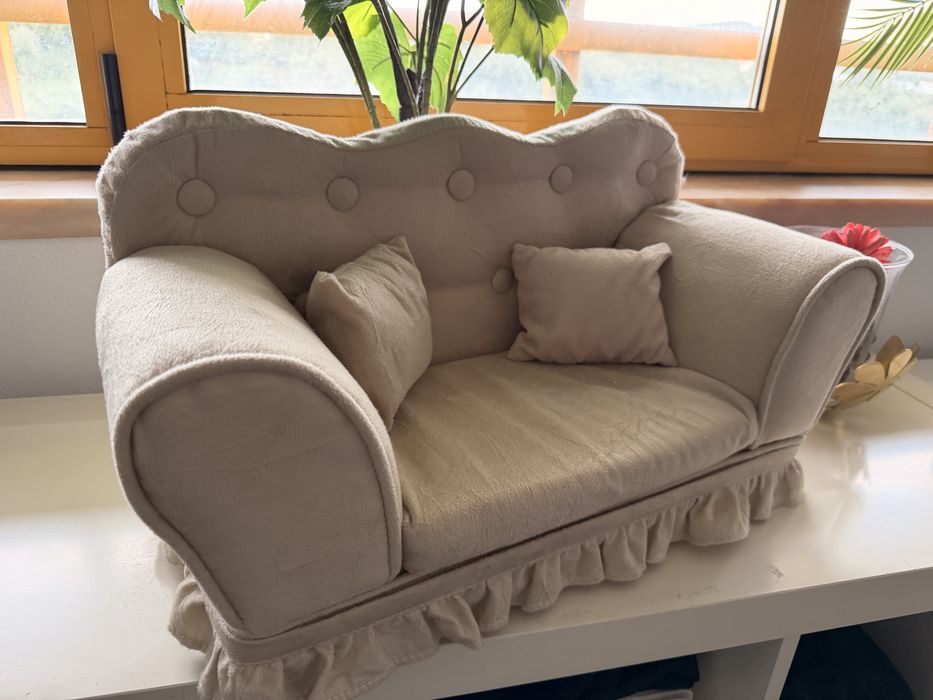 Sofa Sessao Fotografica