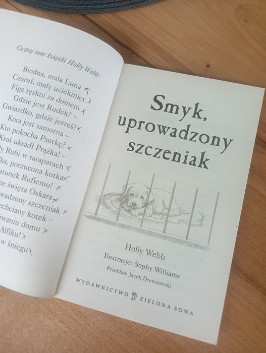 Smyk uprowadzony szczeniak Holly Webb