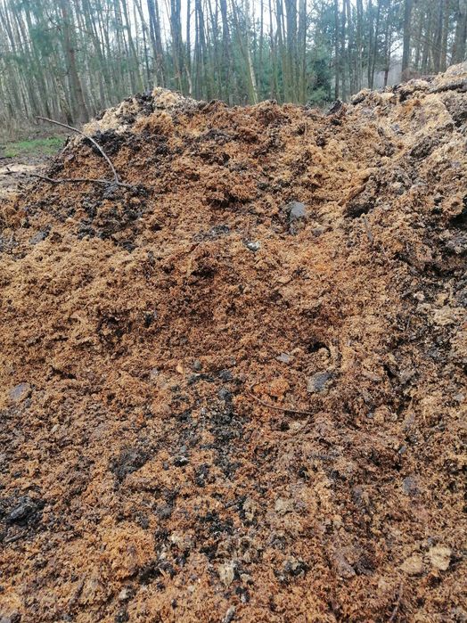 Trociny zrębka      przepracowana pod borówkę z dostawą woj lubelskie