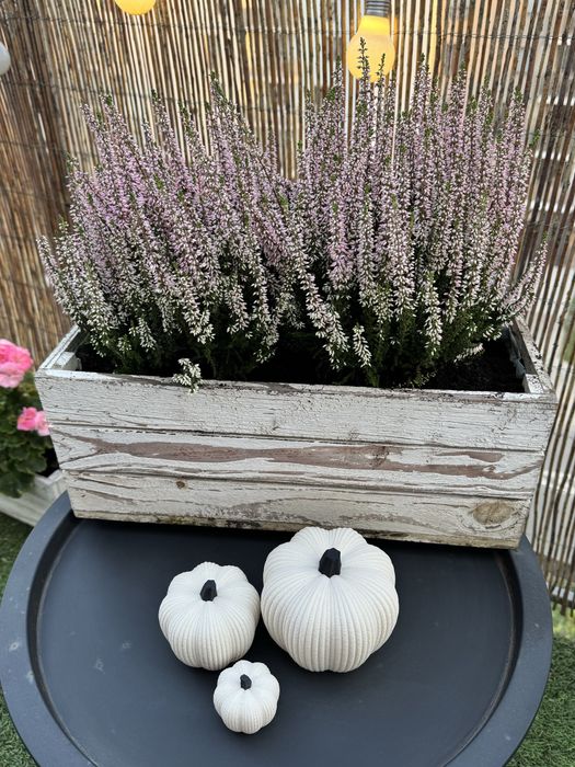 Boho dynie dekoracyjne / ozdoba jesienna – komplet 3 szt.