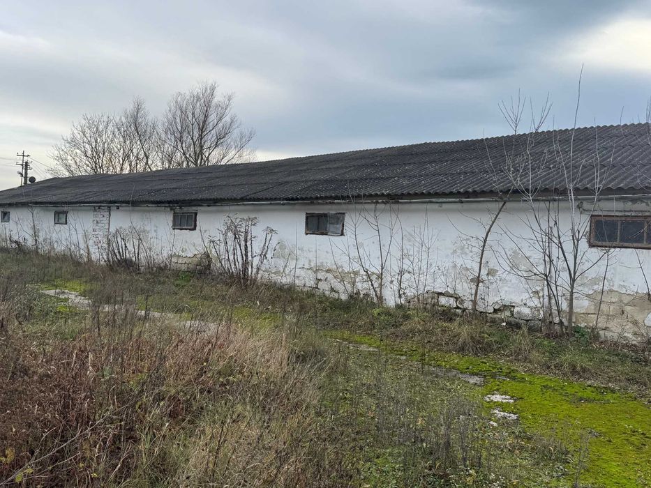 Нежитлові будівлі - с. Припруття, Чернівецька обл.