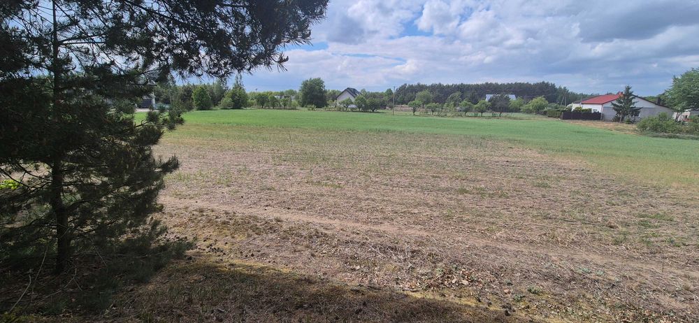 Działka budowlana 1330m2 Stary Witoszyn