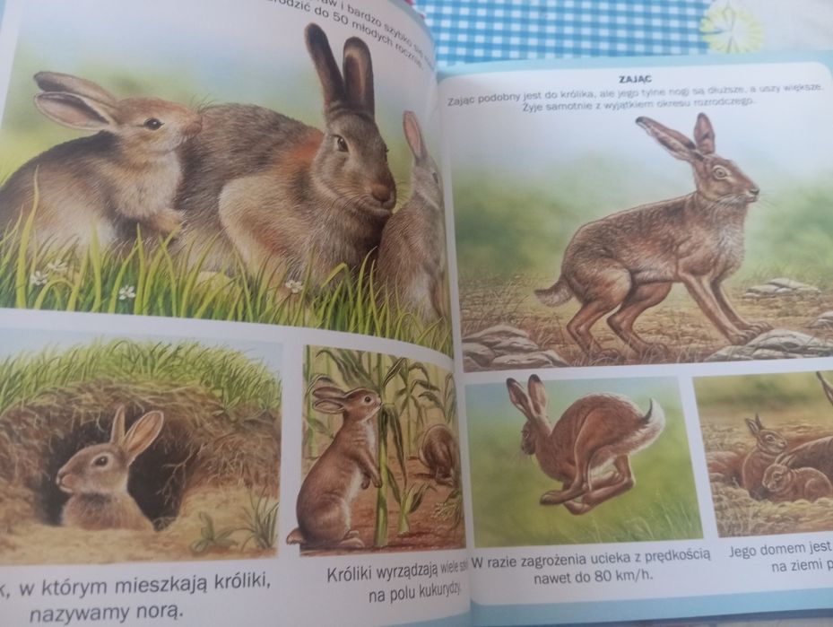 Дитяча енциклопедія "Świat w obrazkach: Zwierzęta" (польською мовою)