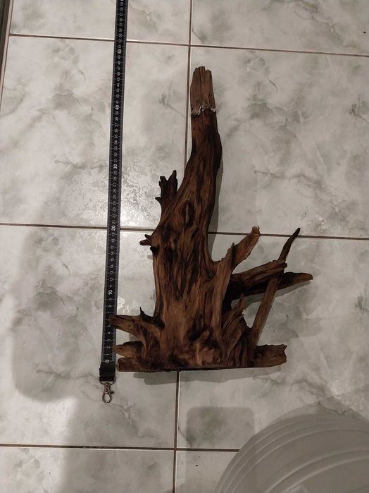 Korzenie do akwarium