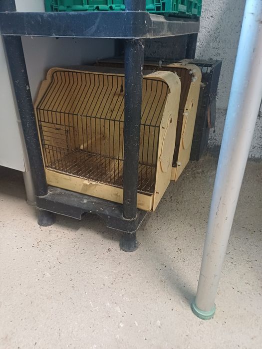 Gaiolas e comedores t udo para despachar a um bom preço