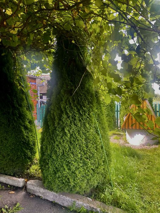 Будинок 22 км від ЛУЦЬКА