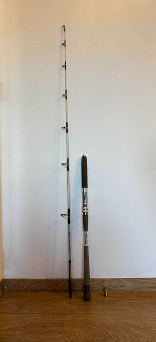 Cana jigging Renzo Valdieri Pescara 1,98m 80-200g