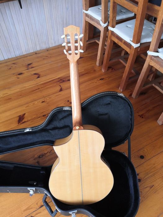Ibanez Ewn 30 classic