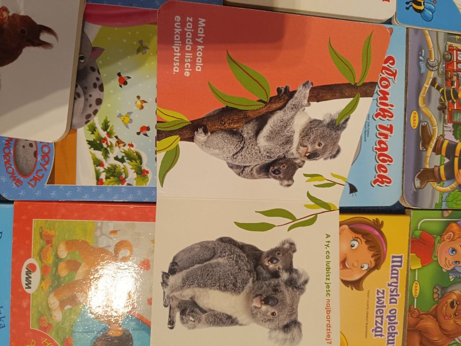 Książki dla dzieci