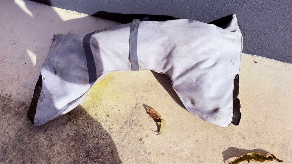 Patins  35, joelharas e cotoveleiras