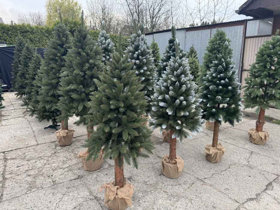 Choinki sztuczne choinki na pniu (-40%na wszystko)