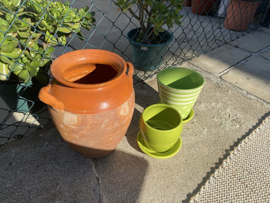 Vasos para plantas