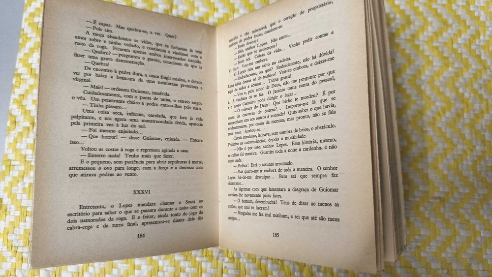 VINDIMA – 
Miguel Torga