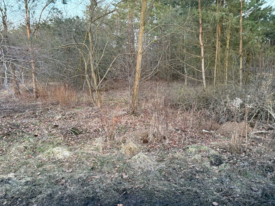 Działka rekreacyjna 1500 m² – Rokitnica k. Łasku | cisza, las i odpoczynek od miasta