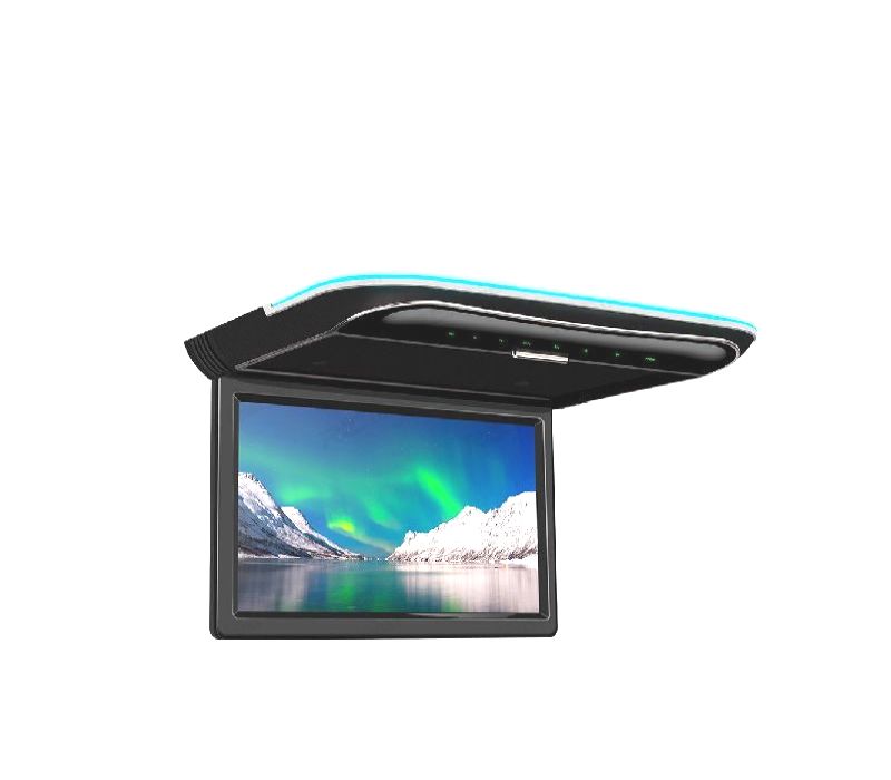 ECRÃ TEJADILHO 11.6 " FULL HD