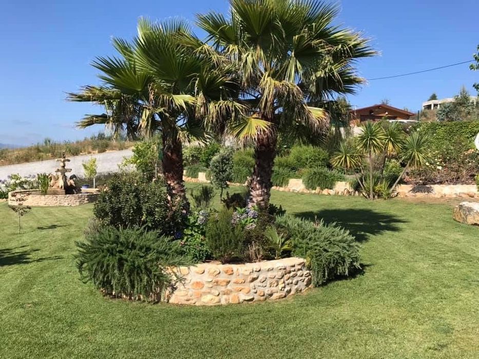 Manutenção de Espaços Verdes  Coja/Arganil