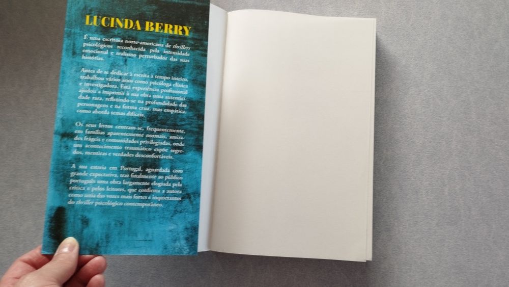 A filha perfeita - Lucinda Berry