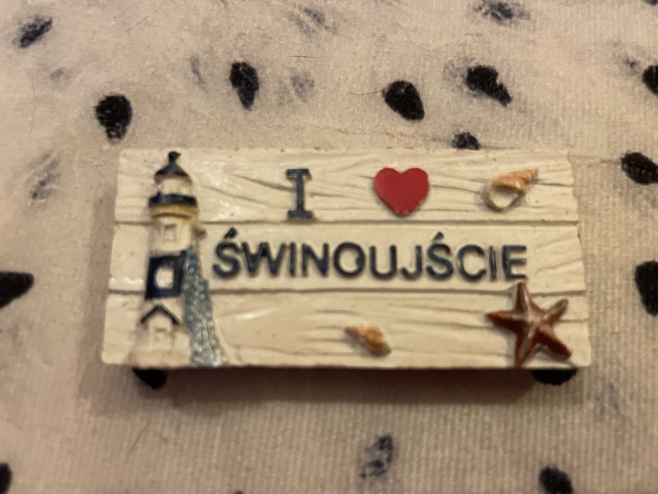 Magnes na lodowke Świnoujście