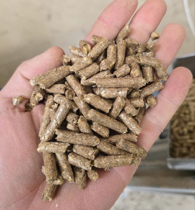 Pellet z owsa big bag oraz 15kg agropellet