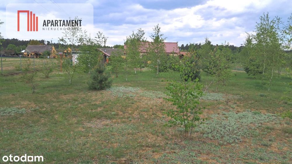 Okazja Dom z 2020 roku, działka 2929m2