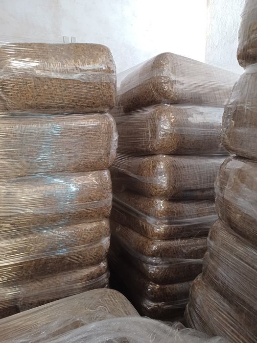 Silagem milho em vácuo